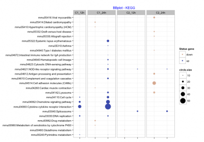 Rplot