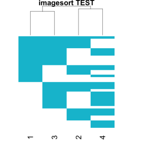 imagesort