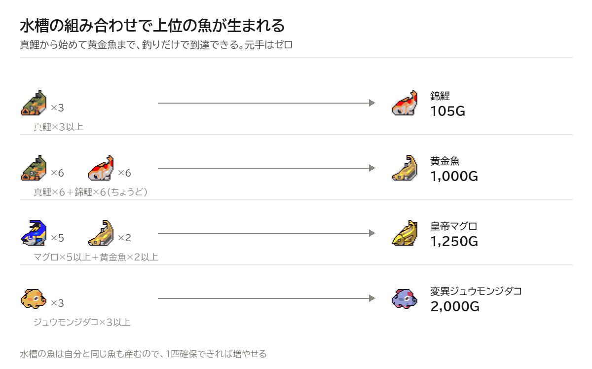 水槽の魚の組み合わせで錦鯉・黄金魚・皇帝マグロが生まれる条件の図