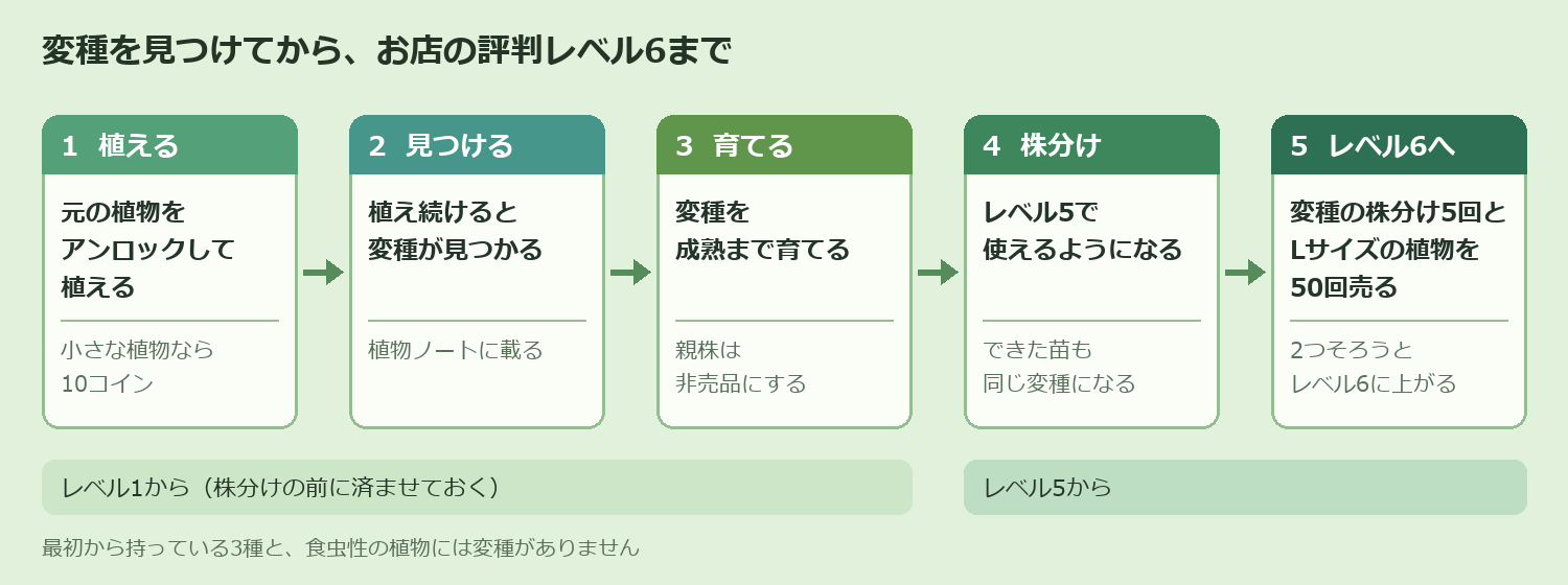 変種を見つけてから、株分けでお店の評判レベル6に上がるまでの流れ